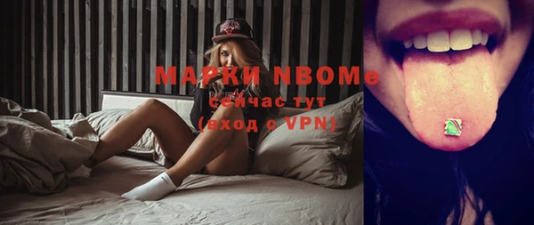 PSILOCYBIN Алзамай