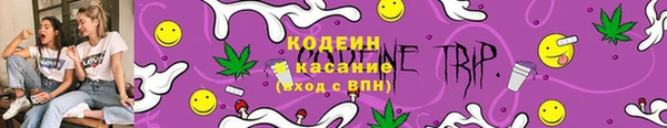 PSILOCYBIN Алзамай