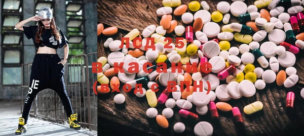 PSILOCYBIN Алзамай