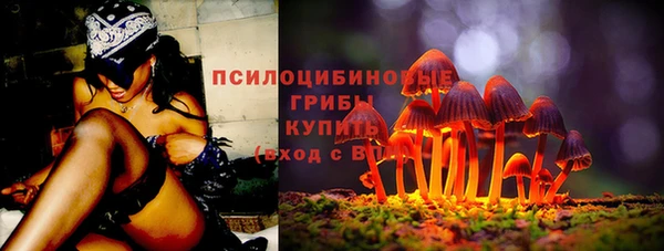хмурый Алексеевка