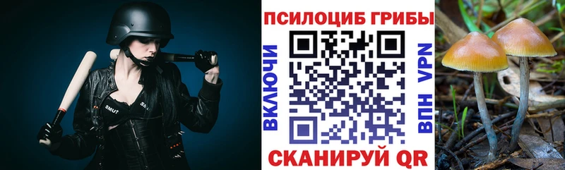 Галлюциногенные грибы Cubensis  что такое   Звенигово 