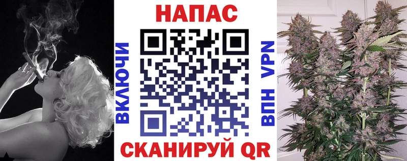 ссылка на мегу ссылка  наркотики  Звенигово  Марихуана индика 